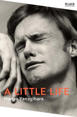 Little Life, A